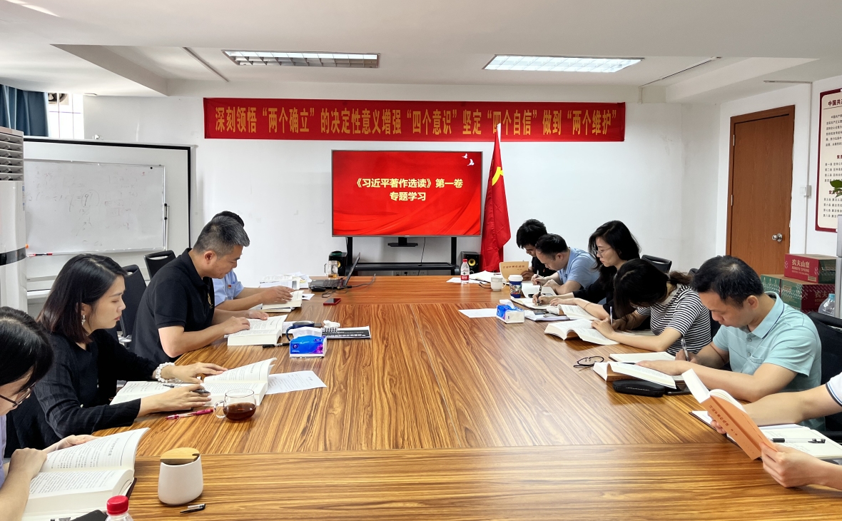 新投公司党支部开展“读原著 学原文 悟原理”政治学习日暨主题党日活动