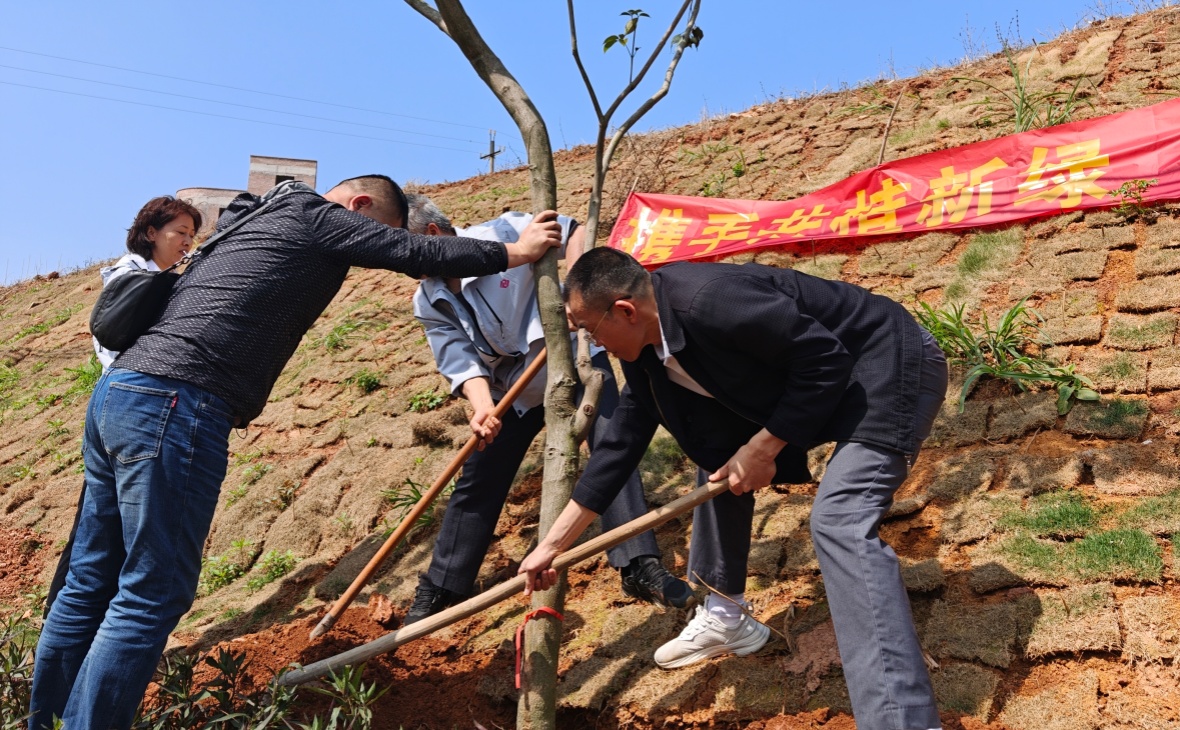 佛山帮扶再发力，以生态绿化赋能乡村振兴